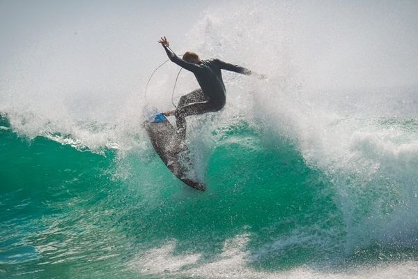 [SPECIAL IMPRESSION] SIGMA 150-600mm F5-6.3 DG DN OS