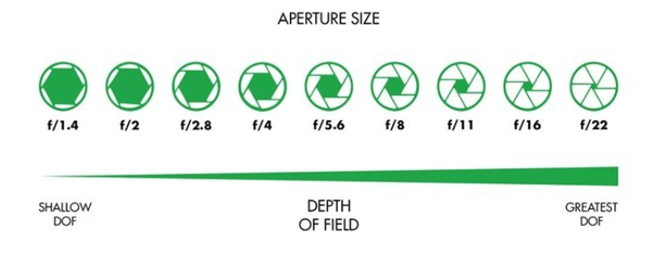 Độ sâu trường ảnh là gì? Cách cân chỉnh để có tấm hình đẹp