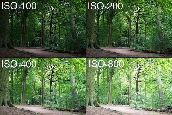 ISO máy ảnh là gì? Điều chỉnh ISO nâng cao chất lượng ảnh