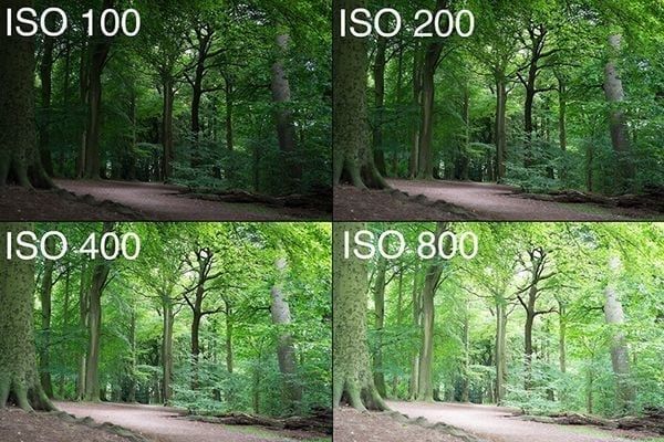 ISO máy ảnh là gì? Điều chỉnh ISO nâng cao chất lượng ảnh
