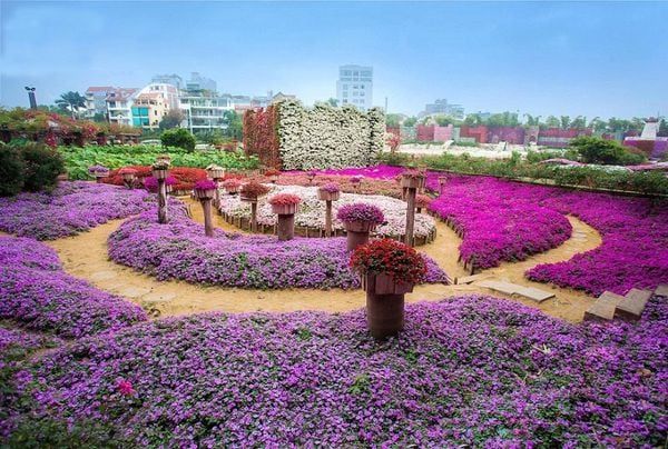 Top các địa điểm chụp ảnh mùa thu Hà Nội đẹp, thơ mộng