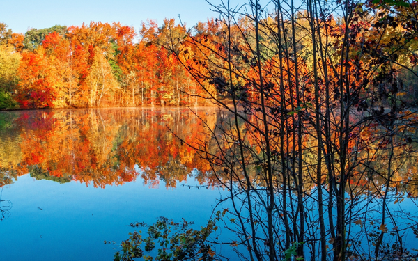 Độ tương phản là gì? Cách để chụp ảnh có độ tương phản cao