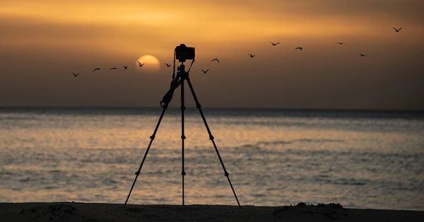 Hướng dẫn chi tiết cách chọn chân máy ảnh tốt nhất