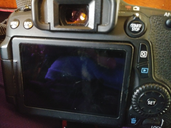 Cách xử lý màn hình máy ảnh Canon bị đen hiệu quả