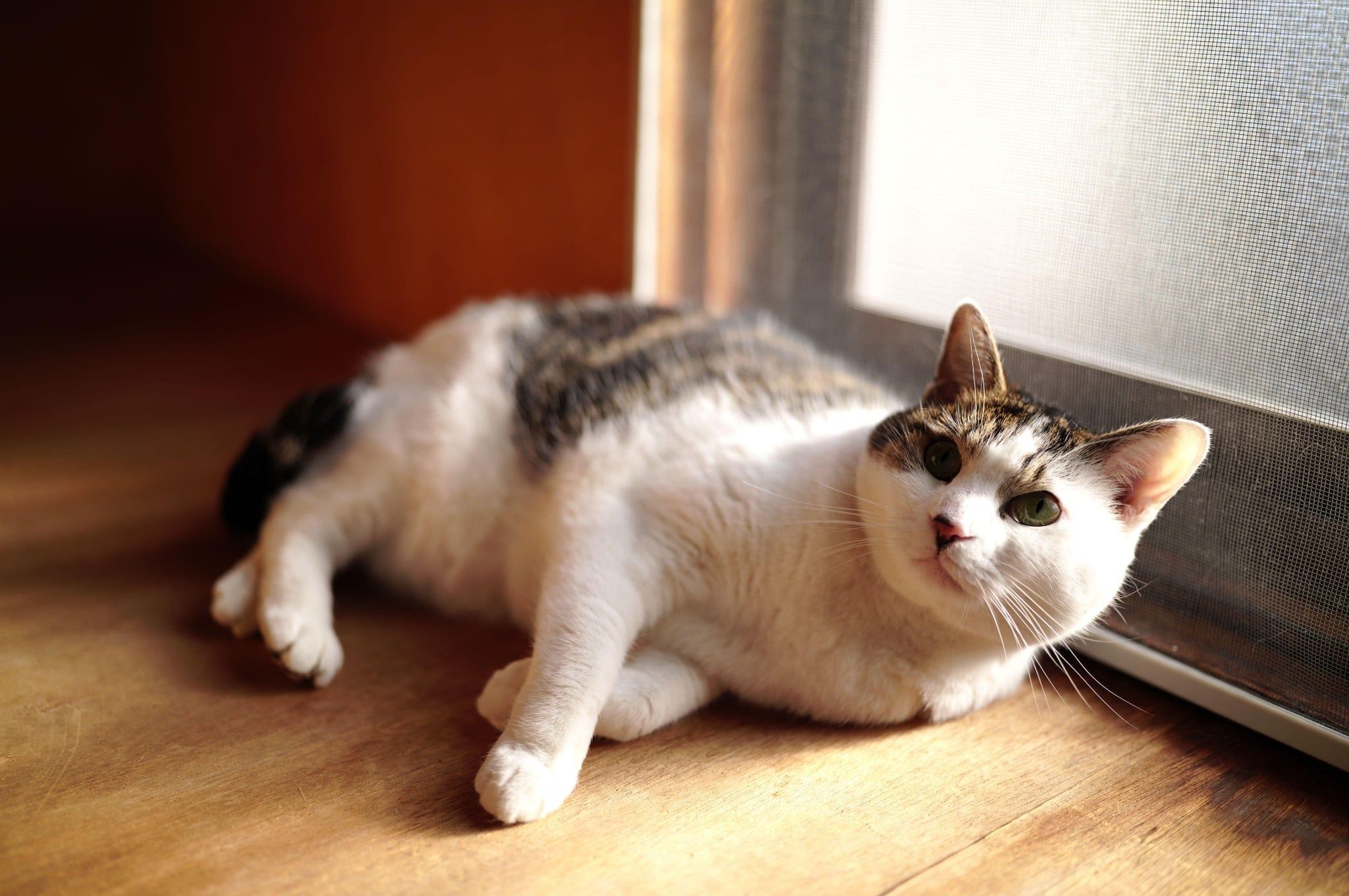 Ảnh chụp bằng Sigma 35mm F1.4 DG II Art