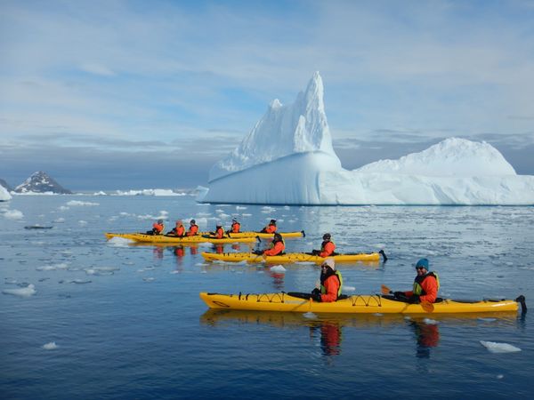 20. CÁC HOẠT ĐỘNG TỰ CHỌN