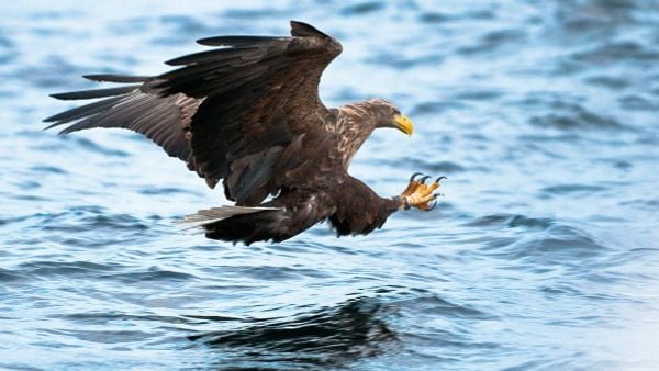 NGÀY 2:  OSLO – EVENES – SVOLVAER (ĂN Sáng trên máy bay, Trưa, Tối)