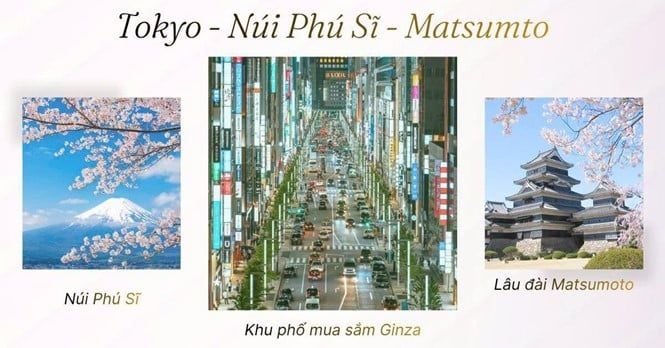 NGÀY 2: TOKYO CITY TOUR                                                                    (Ăn 3 bữa)
