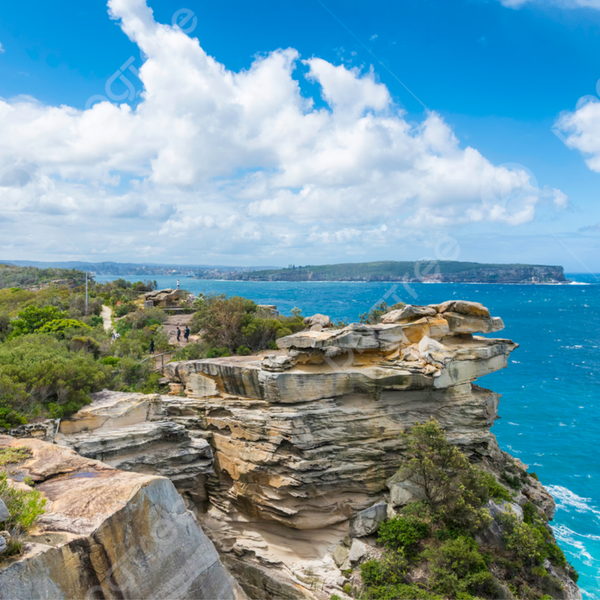 NGÀY 03: VỊNH WATSONS – SYDNEY ZOO