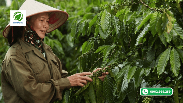 mien thue doi ung - co hoi cho nong san Viet