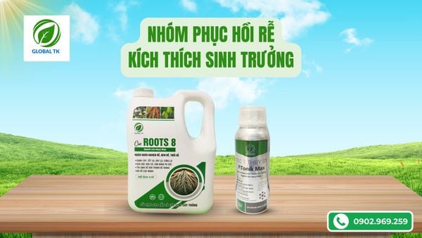 phân bón global tk