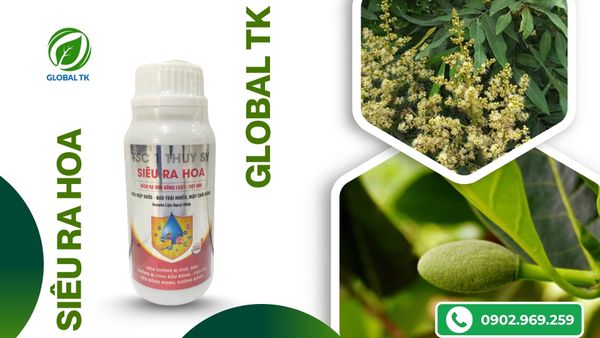 thoi-diem-nen-dung-sieu-kich-bong-ra-bong-dong-loat-de-dau-trai