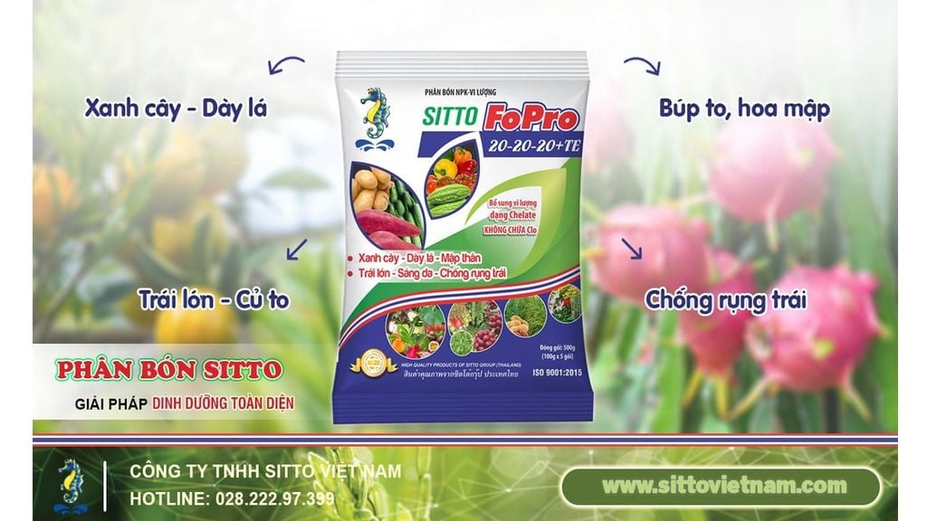 SITTO FOPRO 20-20-20+TE – XANH CÂY, DÀY LÁ, TRÁI LỚN, SÁNG DA, CHỐNG RỤNG TRÁI
