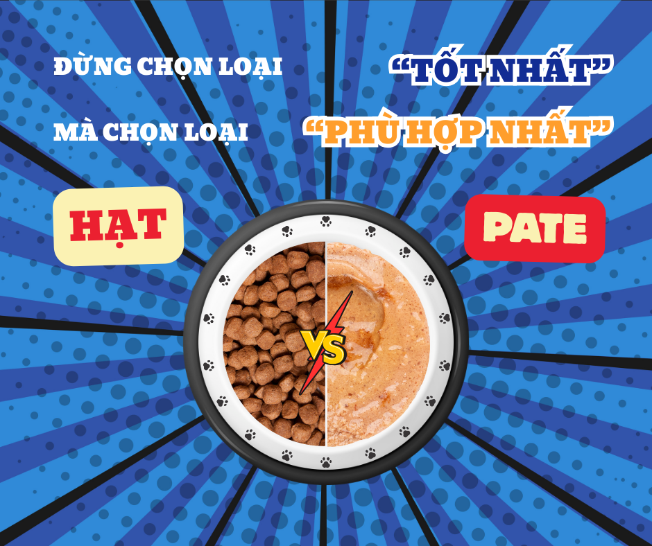Nên cho chó mèo ăn hạt hay pate? Đừng chọn theo cảm tính!