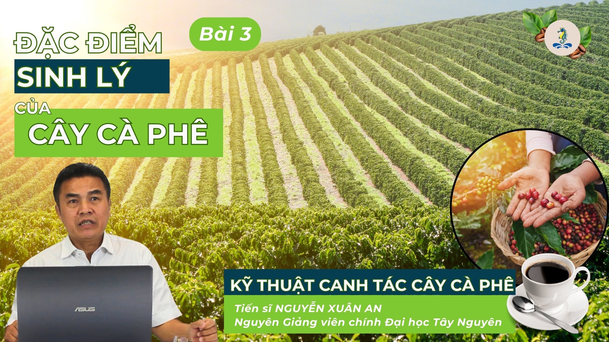 Đặc điểm sinh lý của cây cà phê | Kỹ thuật canh tác cây cà phê