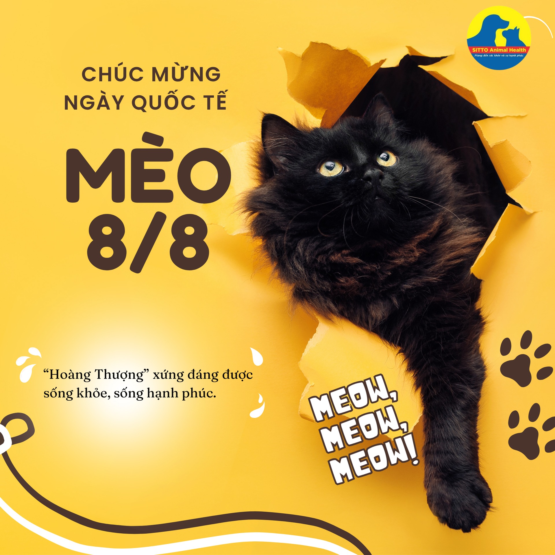 SITTO VIỆT NAM CHÚC MỪNG NGÀY QUỐC TẾ MÈO – “HOÀNG THƯỢNG” LUÔN XỨNG ĐÁNG VỚI ĐIỀU TỐT NHẤT