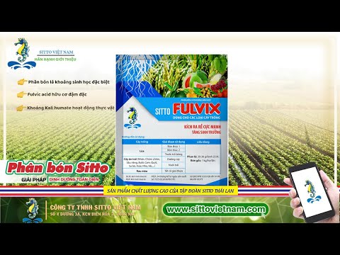 SITTO FULVIX - KÍCH RA RỄ CỰC MẠNH. TĂNG SINH TRƯỞNG