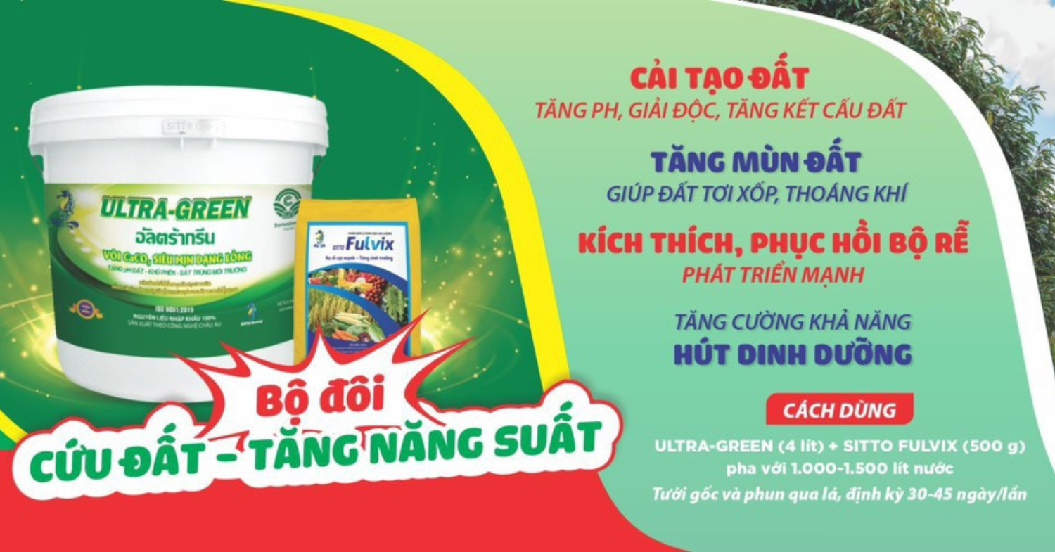Giải Pháp Cứu Đất - Phục Hồi Sầu Riêng Sau Thu Hoạch | SITTO eShop