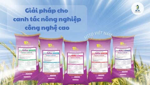 Giải pháp cho canh tác nông nghiệp công nghệ cao