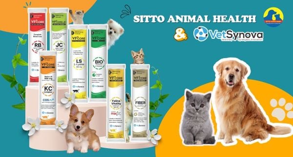 Sitto Animal Health - Công ty TNHH Sitto Việt Nam chính thức tham gia thị trường thức ăn & chăm sóc thú cưng