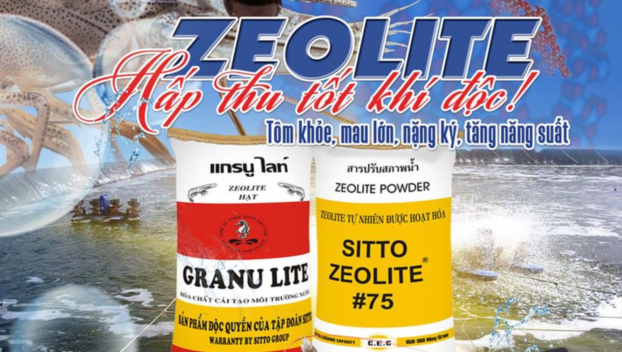 Tầm quan trọng của Zeolite trong nuôi tôm
