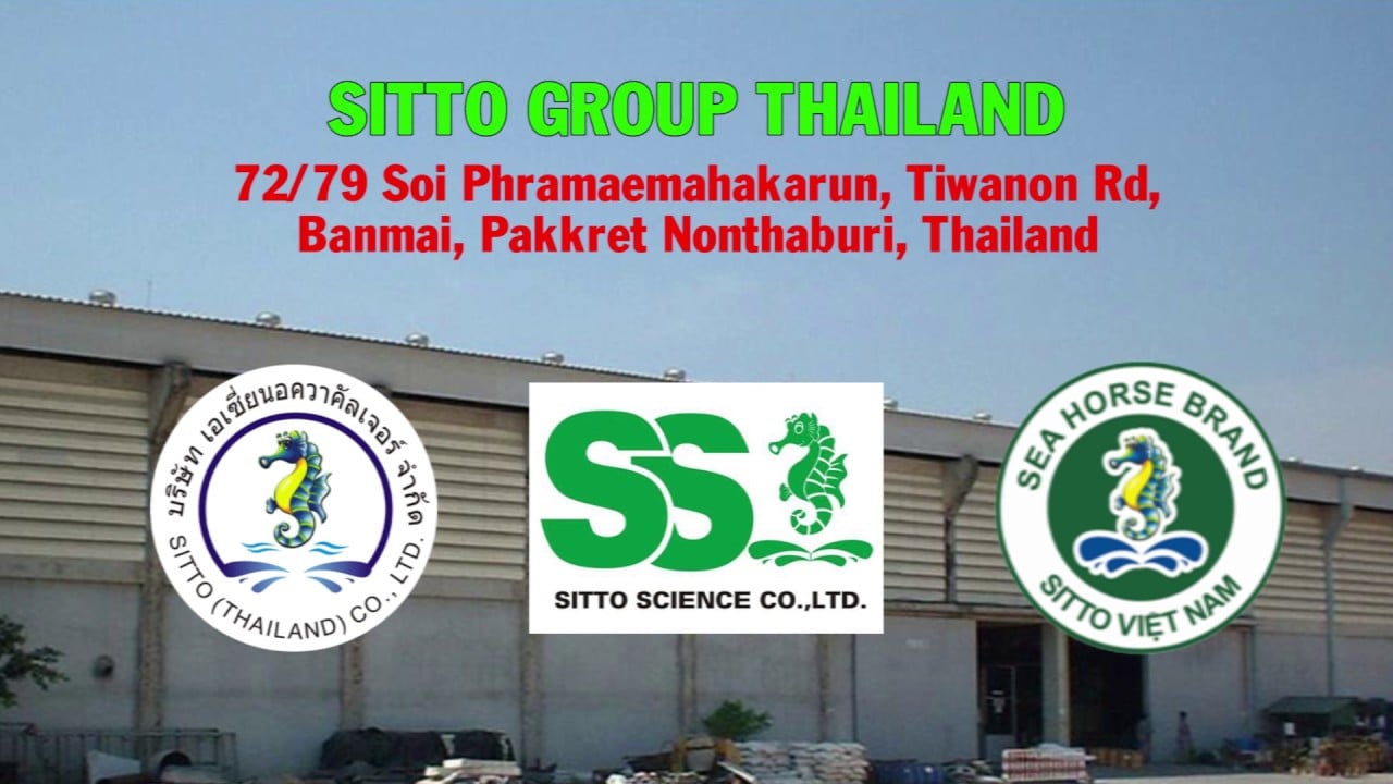 Tập đoàn Sitto Thái Lan (Sitto Group)