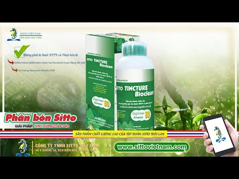 IMPRESS 80 - HOẠT CHẤT TĂNG CƯỜNG KHẢ NĂNG HẤP THỤ