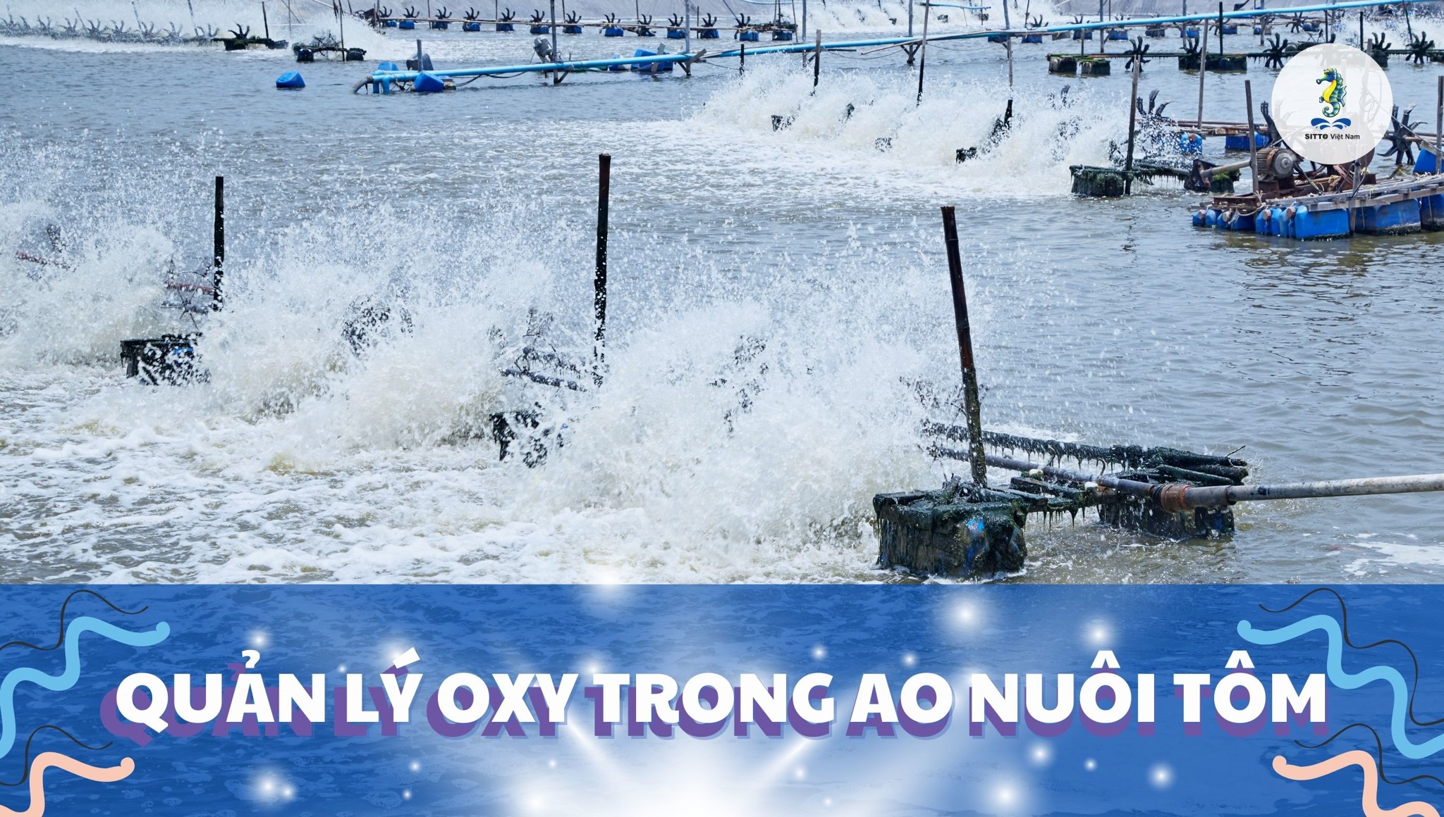 Quản lý oxy trong ao nuôi tôm công nghiệp hiệu quả
