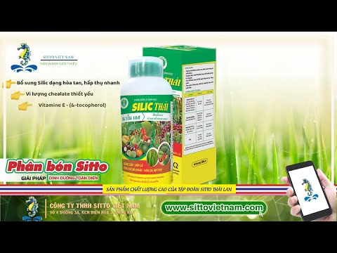 SILIC THÁI - PHÂN BÓN LÁ TĂNG SỨC ĐỀ KHÁNG, CỨNG CÂY, DÀY LÁ.