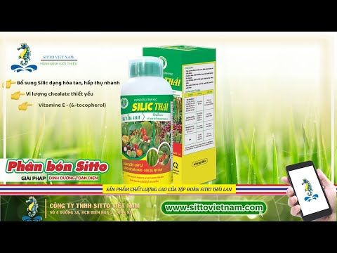 SILIC THÁI - PHÂN BÓN LÁ TĂNG SỨC ĐỀ KHÁNG, CỨNG CÂY, DÀY LÁ.