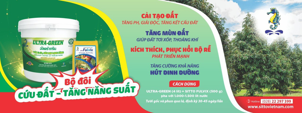 BỘ ĐÔI CỨU ĐẤT – CỨU CÂY “ULTRA GREEN VÀ SITTO FULVIX”