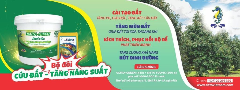 BỘ ĐÔI CỨU ĐẤT – CỨU CÂY “ULTRA GREEN VÀ SITTO FULVIX”