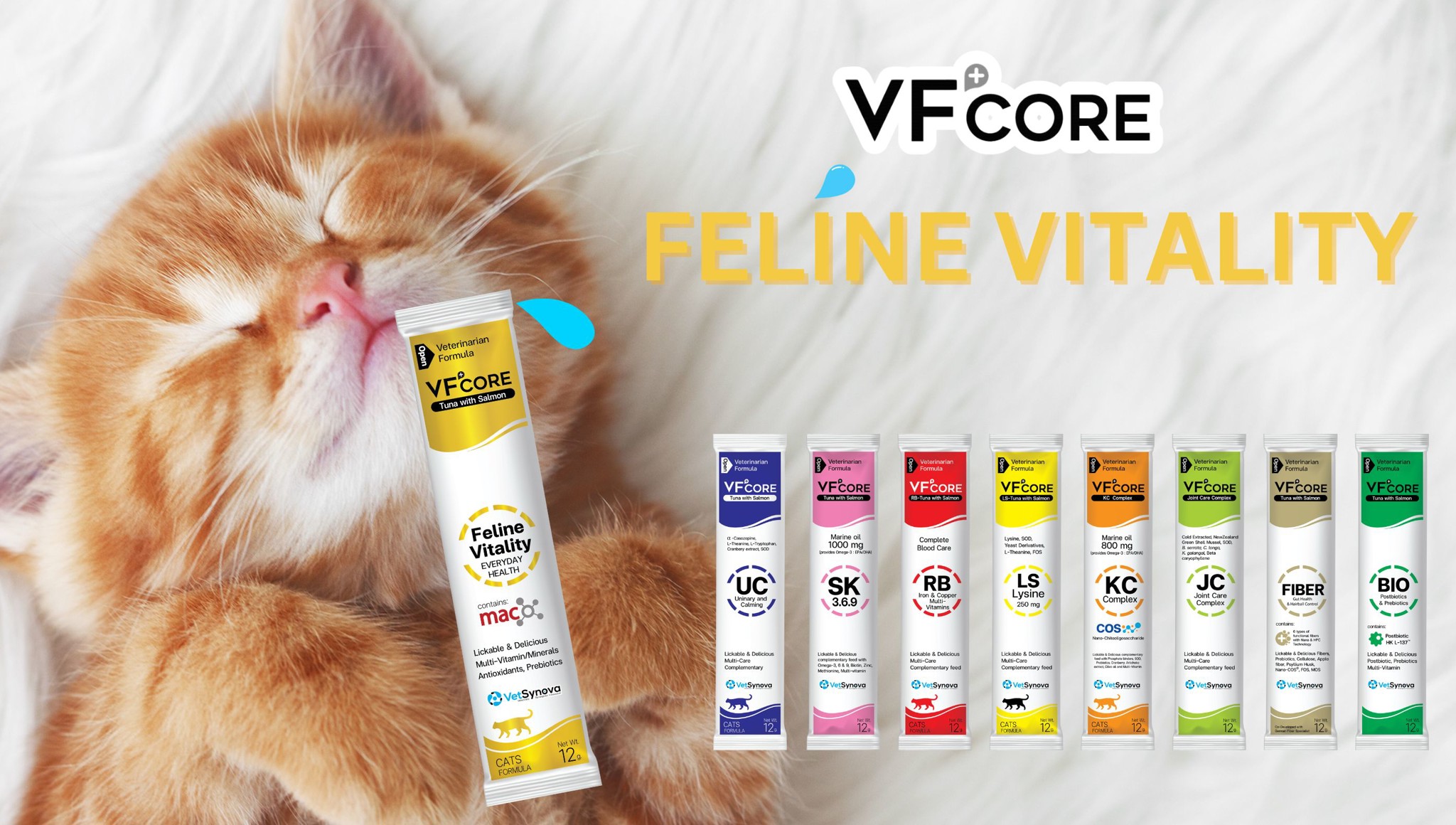 Khám phá Vf+ Core Feline Vitality dành cho mèo cưng: sức khỏe toàn diện, niềm vui đích thực
