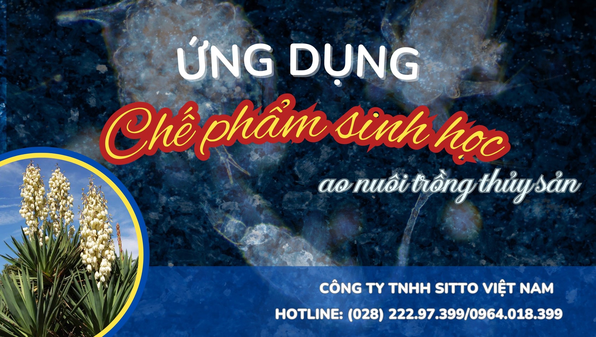 Ứng dụng chế phẩm sinh học trong việc cải tạo đất và chất lượng nước ao nuôi trồng thủy sản