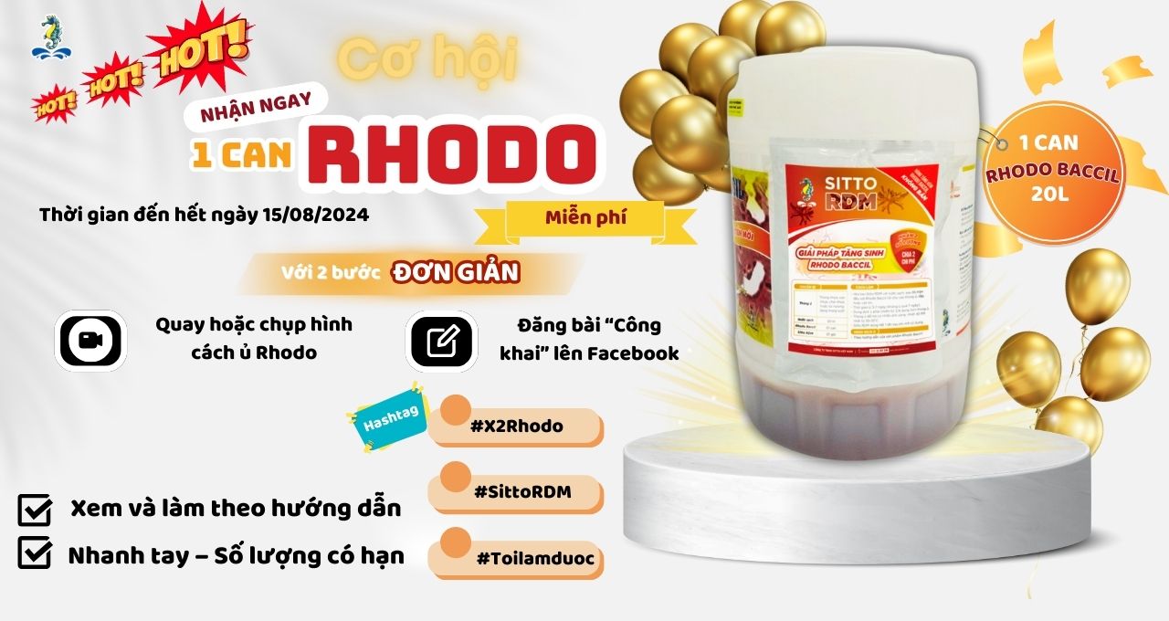 Cơ hội nhận được 01 can Rhodo Baccil miễn phí