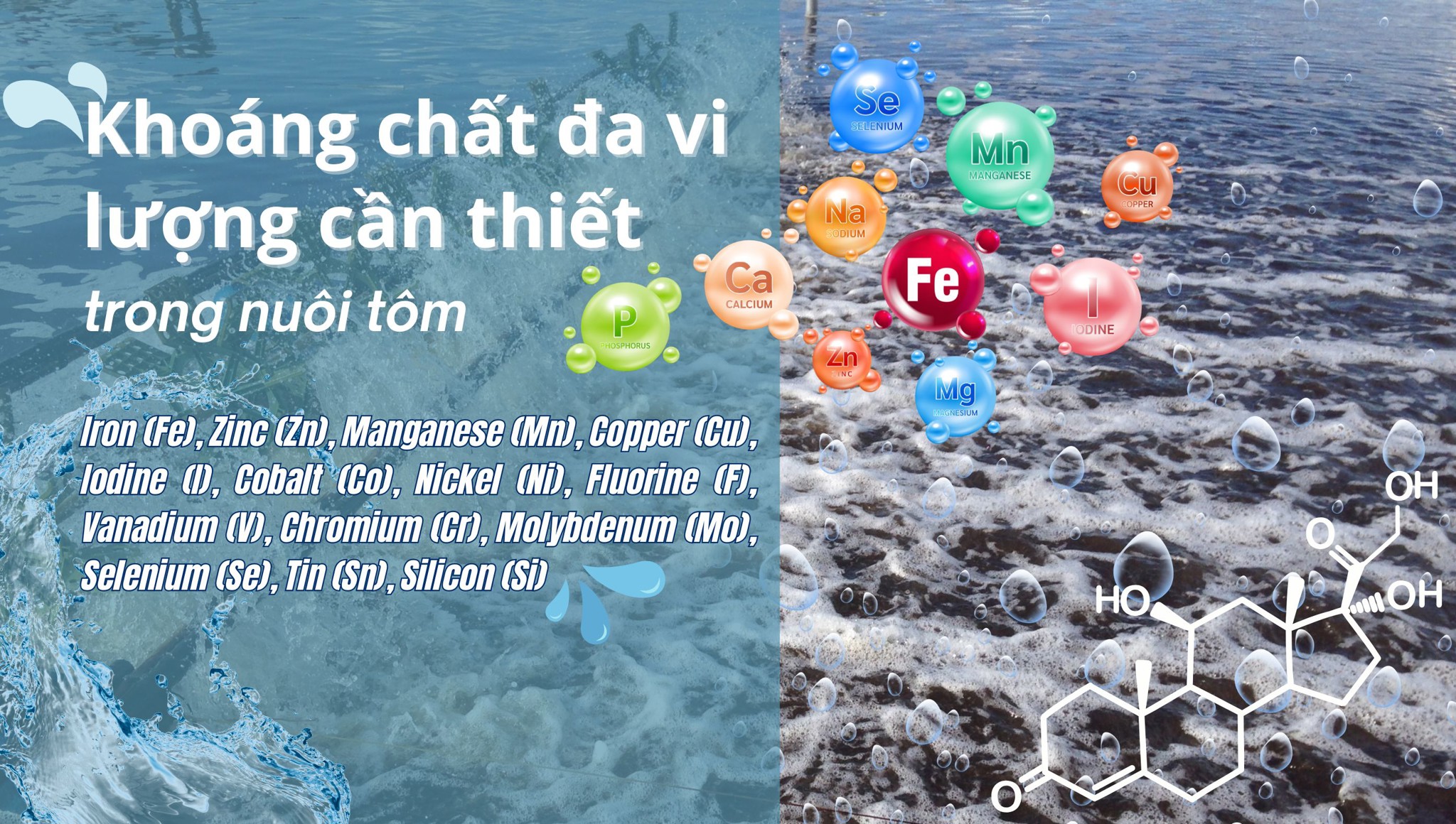 Khoáng chất đa vi lượng cần thiết trong nuôi tôm