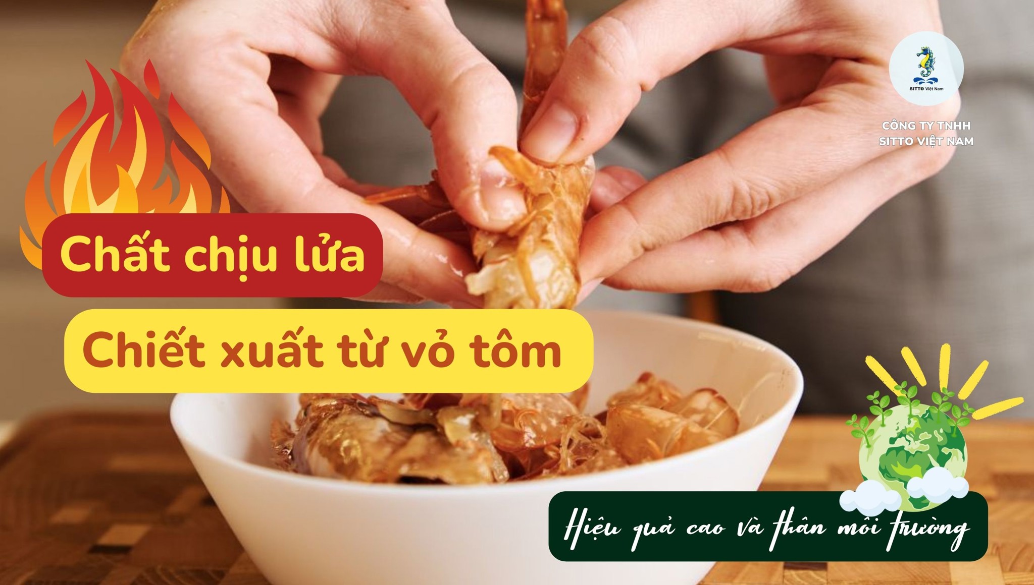 Chất chịu lửa chiết xuất từ vỏ tôm với hiệu quả cao và thân môi trường