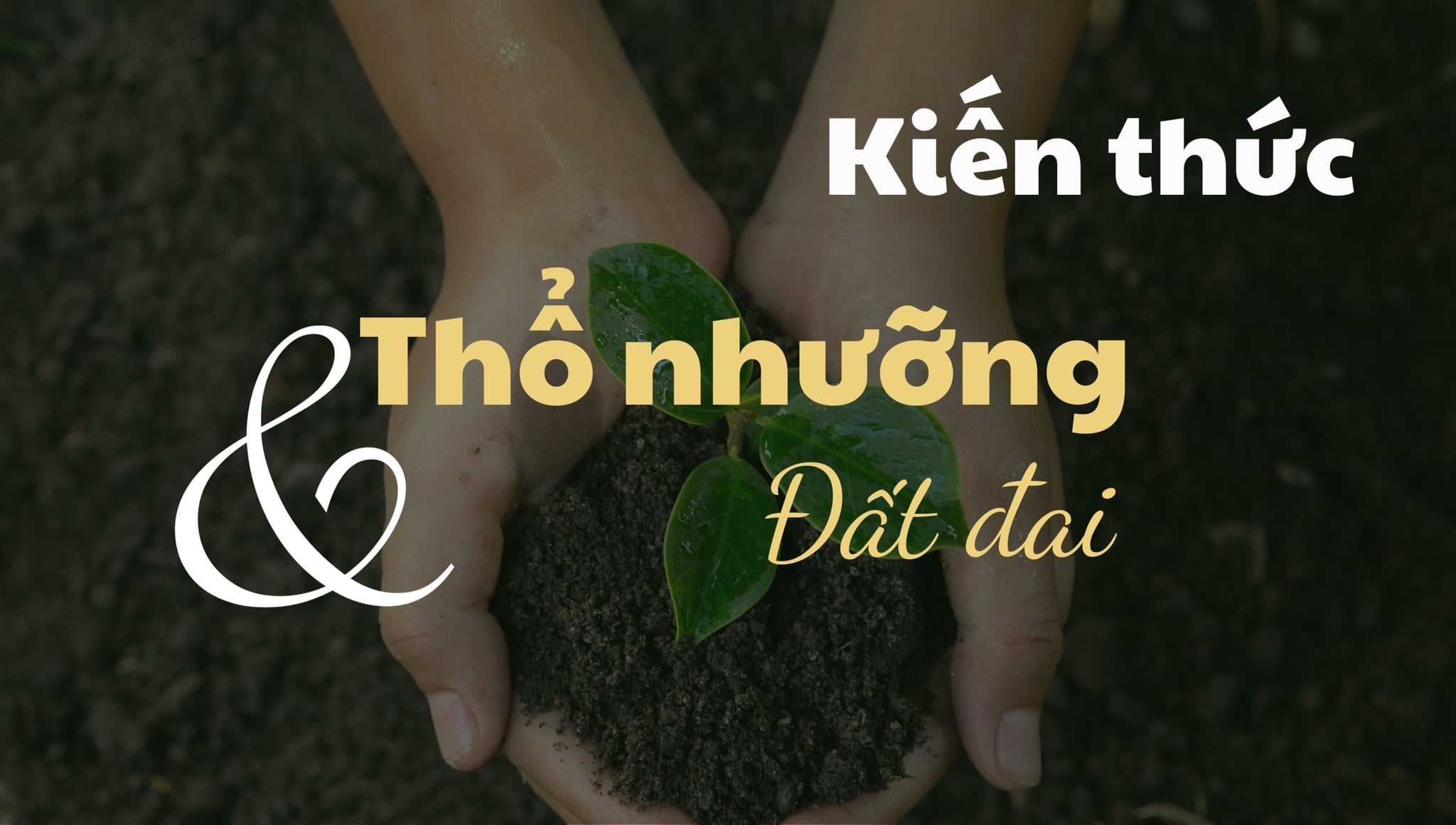 Thổ nhưỡng là gì: Đặc điểm, yếu tố hình thành, vai trò của thổ nhưỡng, đất đai