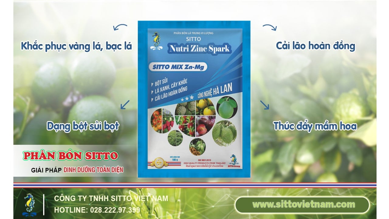 SITTO MIX Zn-Mg – LÁ XANH, CÂY KHỎE, CẢI LÃO HOÀN ĐỒNG