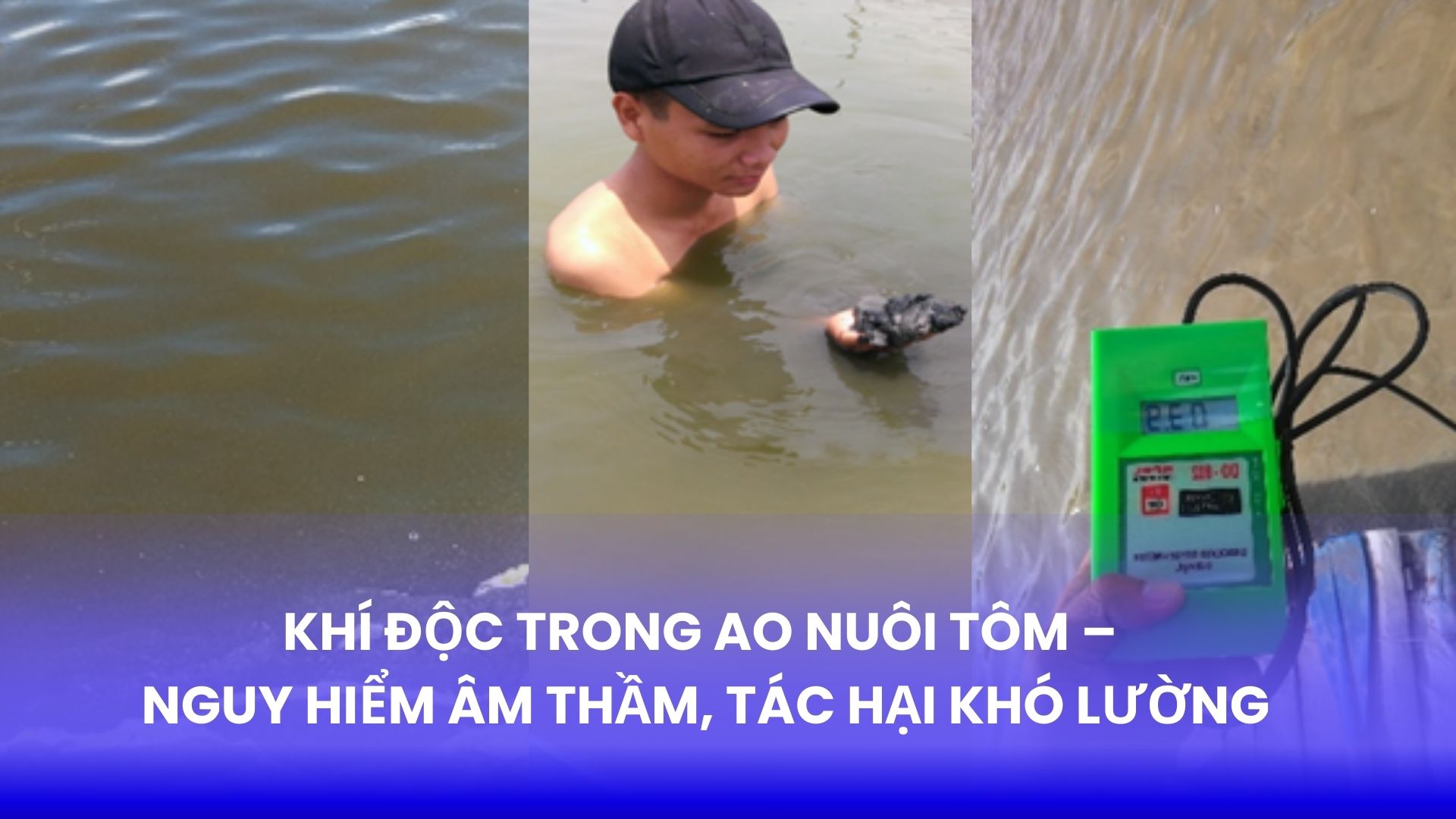 KHÍ ĐỘC TRONG AO NUÔI TÔM – NGUY HIỂM ÂM THẦM, TÁC HẠI KHÓ LƯỜNG