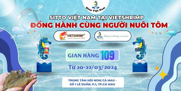 VIETSHRIMP X SITTO - THAM GIA ĐƠN GIẢN 100% CÓ QUÀ