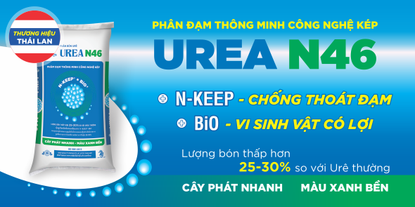 SITTO UREA N46 - Đạm Hạt Xanh Công Nghệ Kép N-KEEP + Bio3 + Vi Lượng Chelate | SITTO eShop