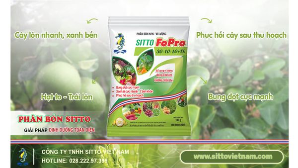 SITTO FOPRO 30-10-10+TE – BUNG ĐỌT CỰC MẠNH, XANH LÁ CỰC NHANH - THÂN, CÀNH KHỎE