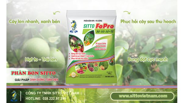 SITTO FOPRO 30-10-10+TE – BUNG ĐỌT CỰC MẠNH, XANH LÁ CỰC NHANH - THÂN, CÀNH KHỎE