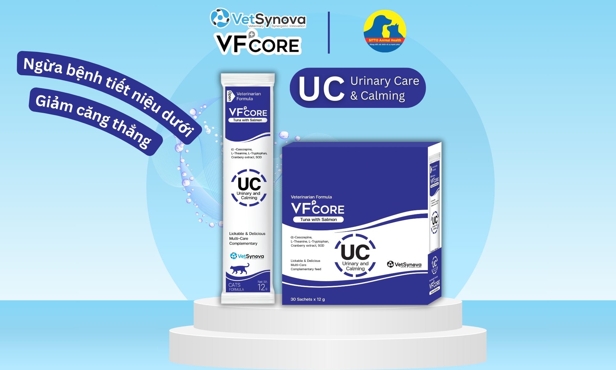 Mèo nhà bạn đang bị stress? Làm cách nào để bé được hạnh phúc đây?