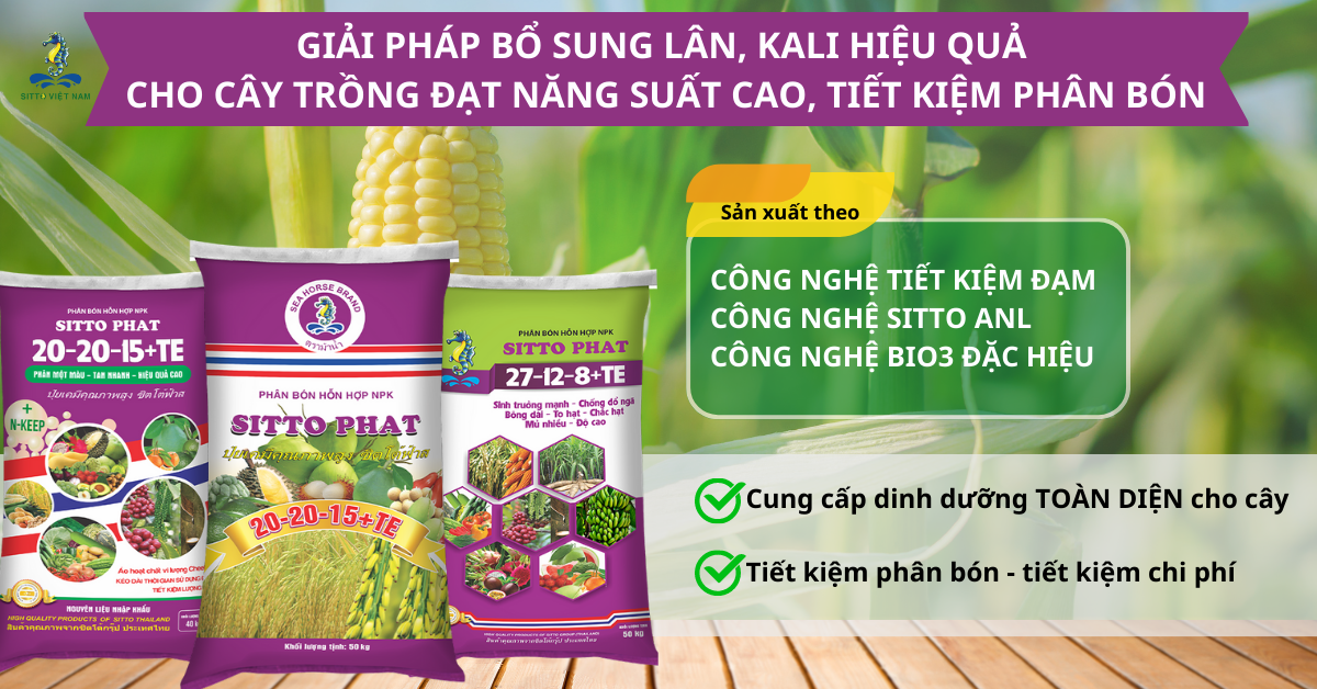 Thất Thoát Phân Bón: Nguyên Nhân Và Giải Pháp Bón Phân NPK Hiệu Quả | SITTO eShop