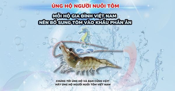 Chung Tay Giúp Người Nuôi Tôm Vượt Qua Giai Đoạn Khó Khăn | SITTO eShop
