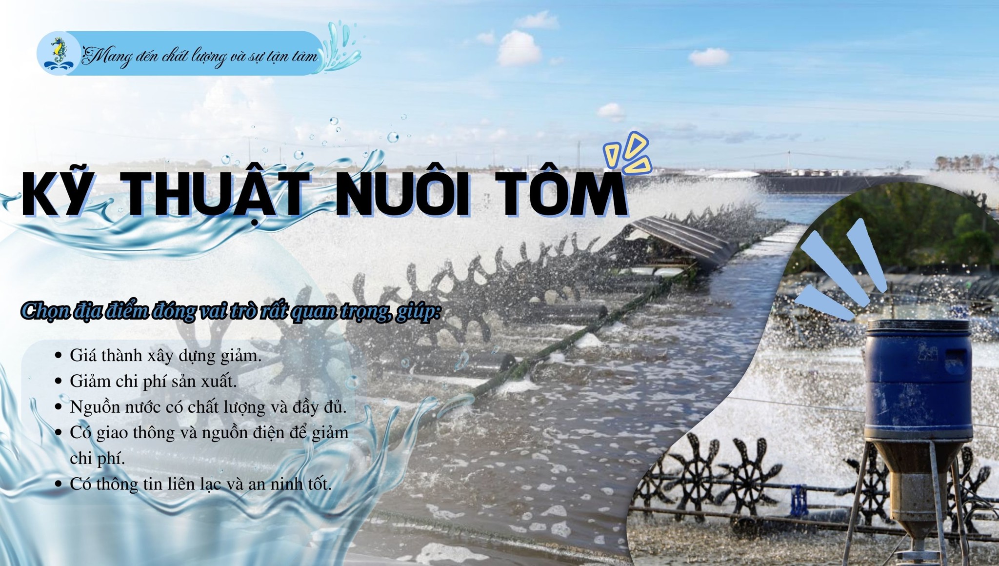 Kiến thức và kỹ thuật nuôi tôm nước ngọt hiệu quả, đạt năng suất cao