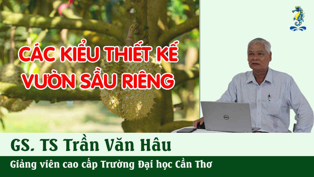 Kỹ Thuật Canh Tác Cây Sầu Riêng - Các Kiểu Thiết Kế Vườn | SITTO eShop
