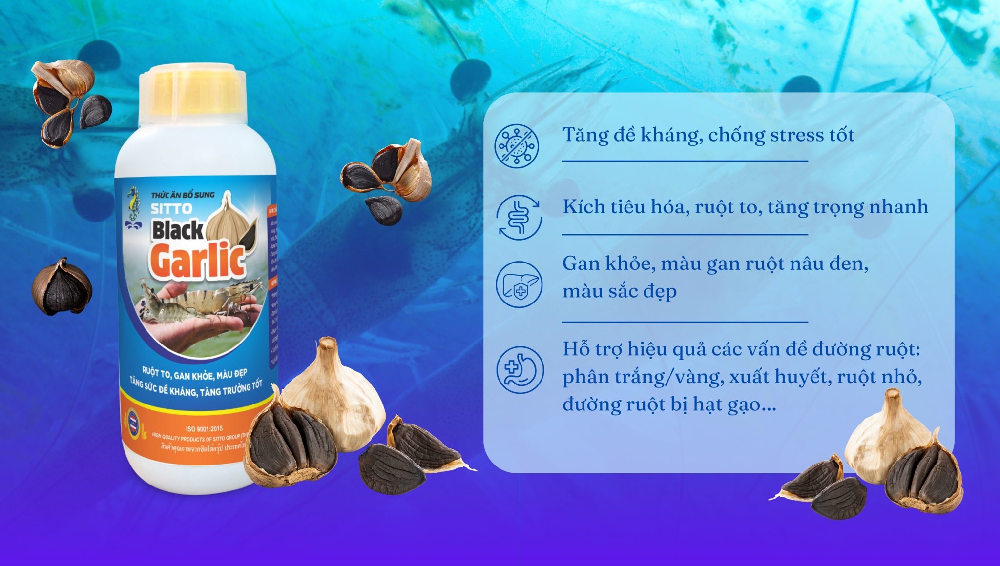 Sitto Black Garlic – Giải pháp nâng cao sức khỏe và phòng bệnh cho tôm bằng thảo dược thiên nhiên
